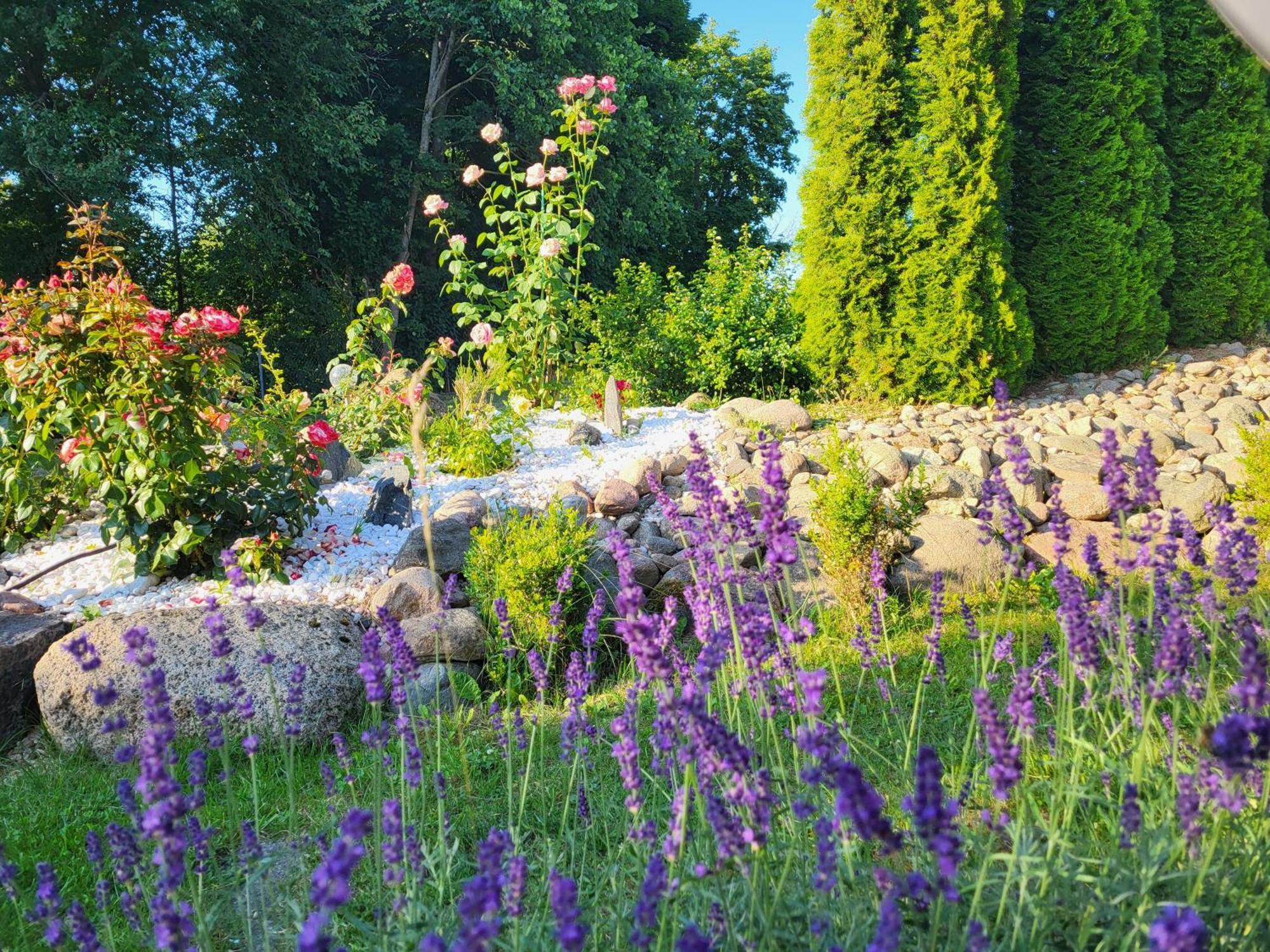 Wczasymazurskie - Domek Caloroczny " Lawenda" Mazury Moldzie ภายนอก รูปภาพ